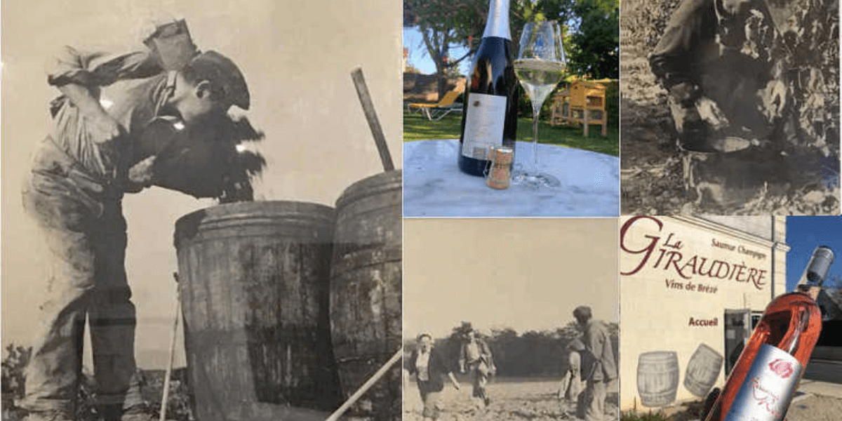 francuskie wina Dolina Loary Domaine de la Giraidiere Tovino