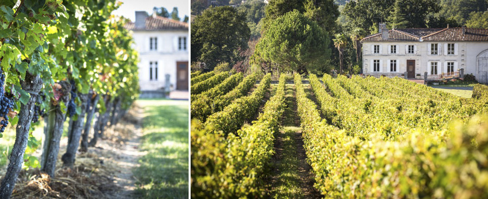 Wina z regionu Bordeaux Francja